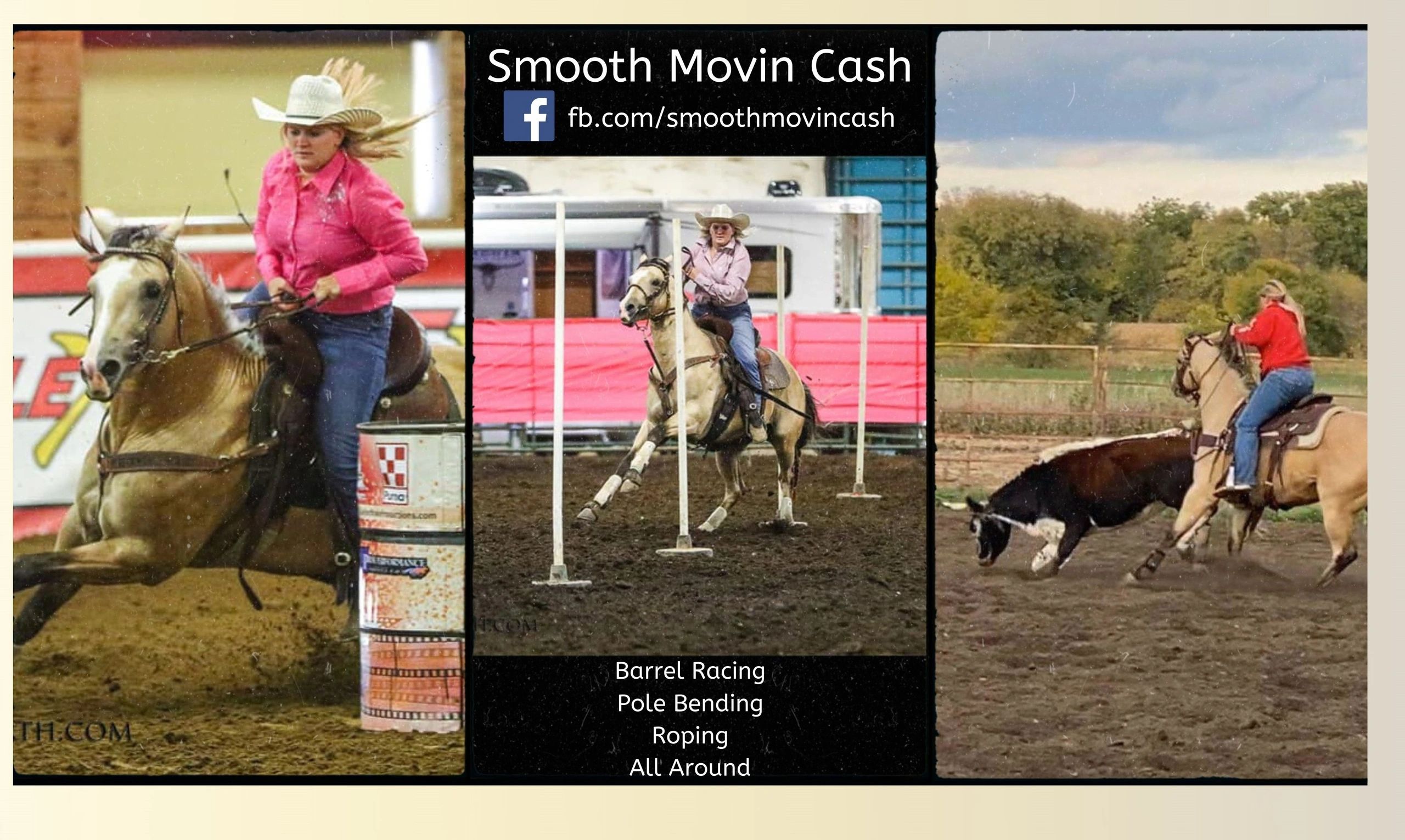 CK Performance Horses